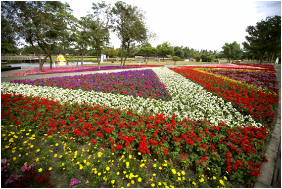 2017花在彰化溪州公園主題景點介紹~